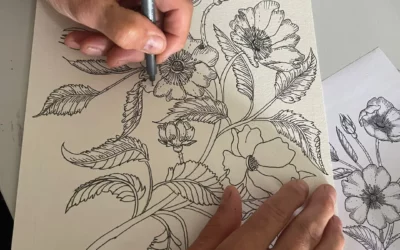 Stage dessin & aquarelle – mai 2026